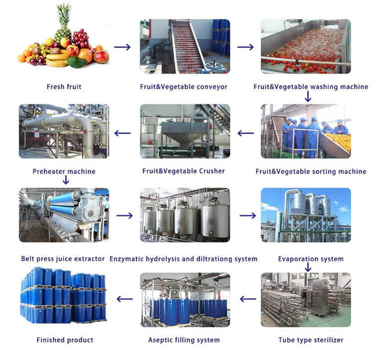 Concentrated Mango Juice Production Line