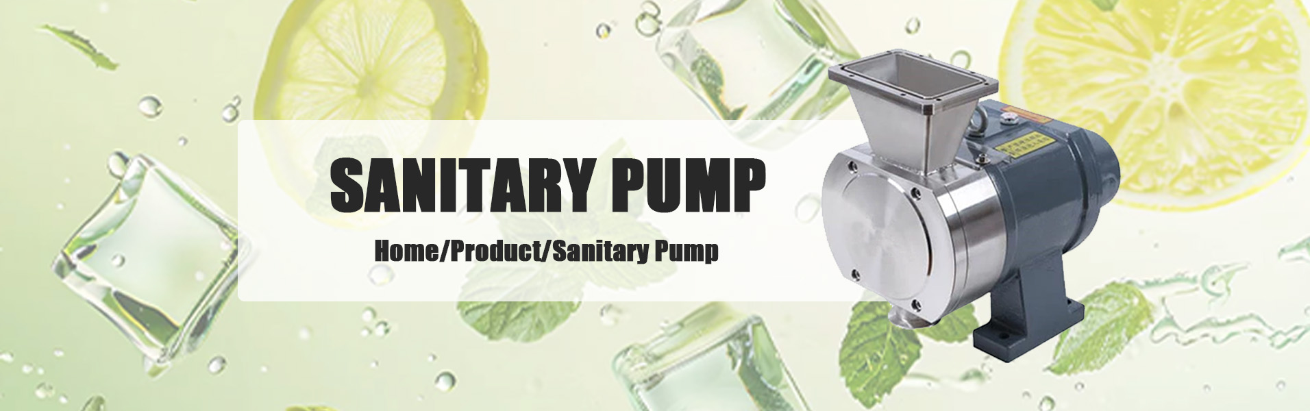 Sanitary Pump