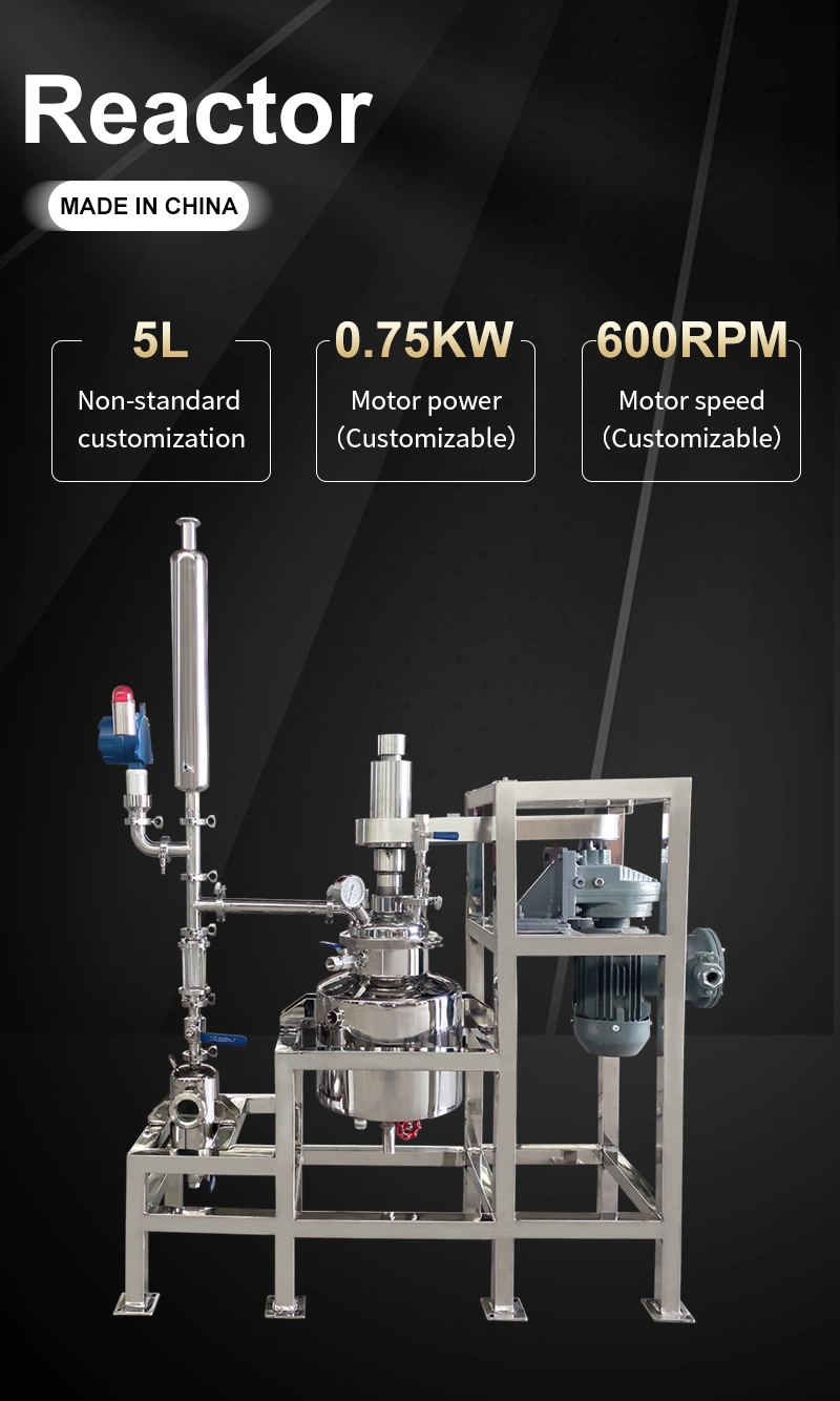 Reactor de calentamiento al vacío de acero inoxidable 304 de 5 l para laboratorio de detergentes para ropa