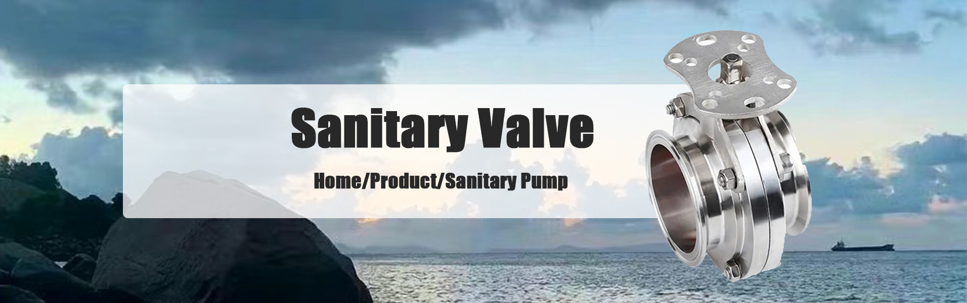 Sanitary Safety Valve