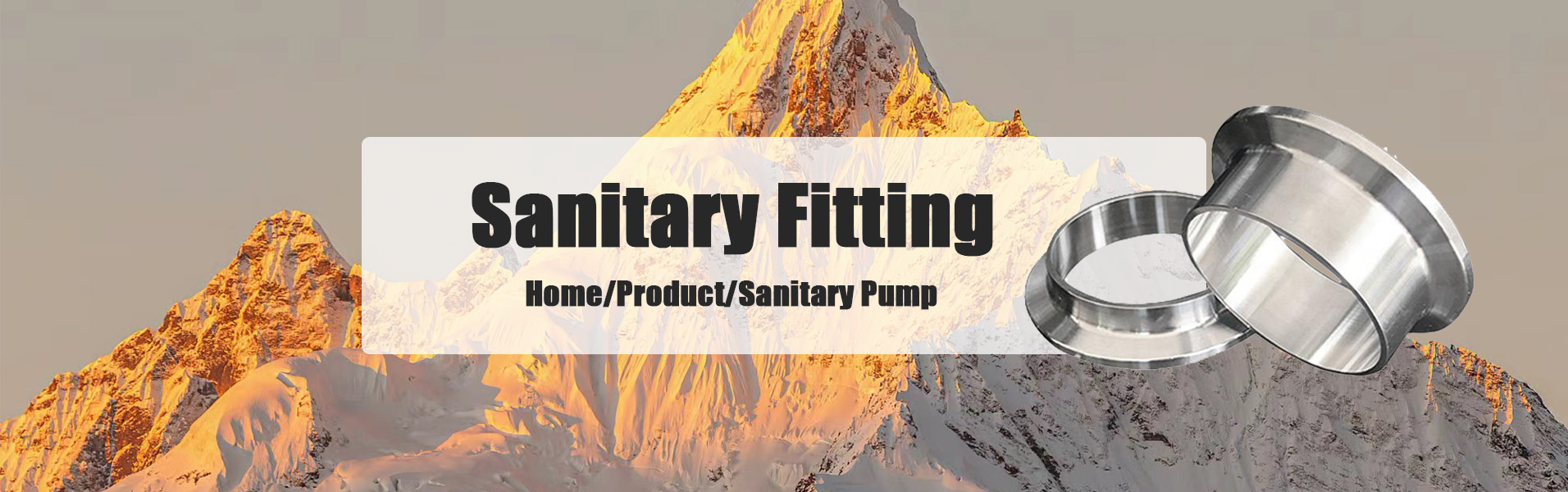 Sanitary Hose Fitting